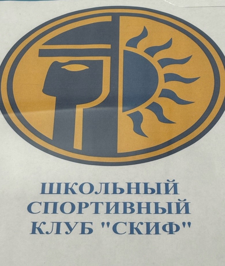 Изображение спорт и физкультура в школе.